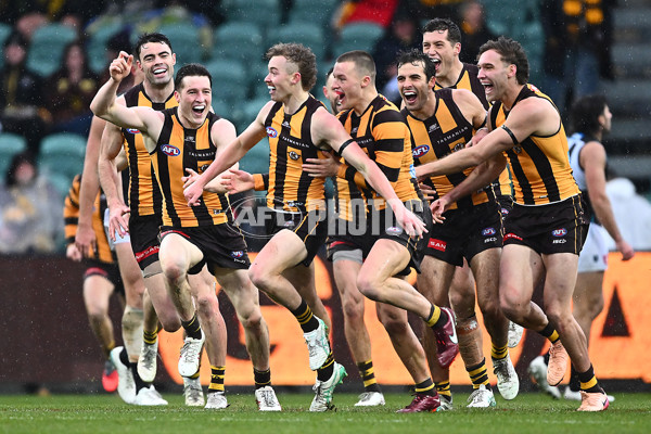 AFL 2025 Round 19 - Hawthorn v Port Adelaide - A-60620926