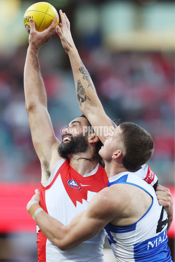 AFL 2025 Round 19 - Sydney v North Melbourne - A-60621663