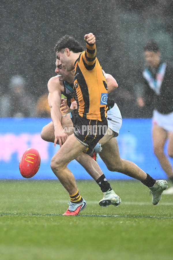 AFL 2025 Round 19 - Hawthorn v Port Adelaide - A-60621688