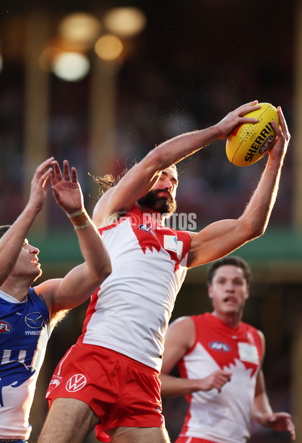 AFL 2025 Round 19 - Sydney v North Melbourne - A-60623741