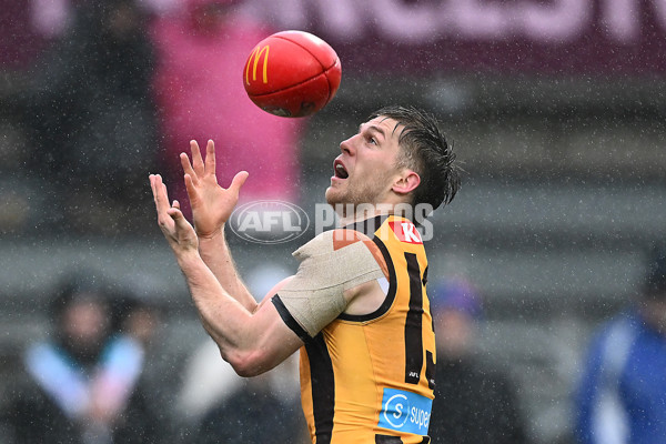 AFL 2025 Round 19 - Hawthorn v Port Adelaide - A-60623782