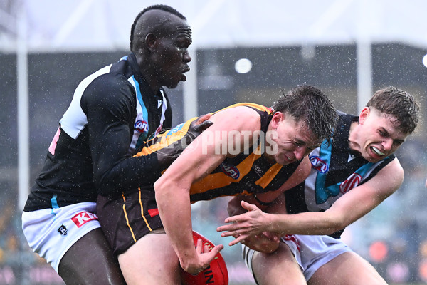 AFL 2025 Round 19 - Hawthorn v Port Adelaide - A-60624265
