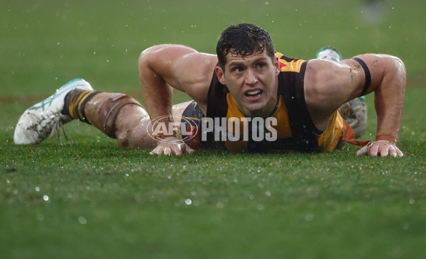 AFL 2025 Round 19 - Hawthorn v Port Adelaide - A-60624277