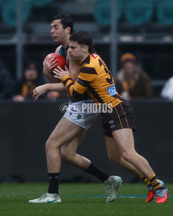 AFL 2025 Round 19 - Hawthorn v Port Adelaide - A-60626374
