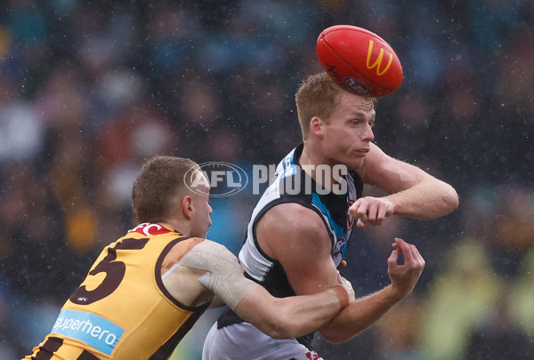 AFL 2025 Round 19 - Hawthorn v Port Adelaide - A-60626402