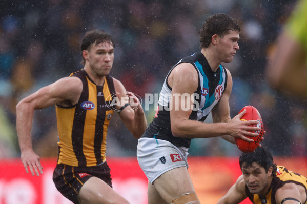 AFL 2025 Round 19 - Hawthorn v Port Adelaide - A-60626403
