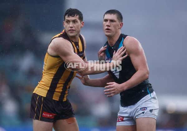 AFL 2025 Round 19 - Hawthorn v Port Adelaide - A-60626765