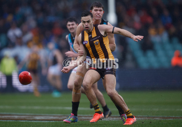 AFL 2025 Round 19 - Hawthorn v Port Adelaide - A-60626774