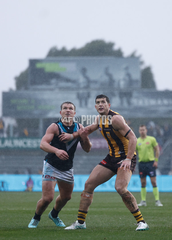 AFL 2025 Round 19 - Hawthorn v Port Adelaide - A-60626791