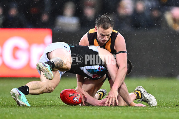 AFL 2025 Round 19 - Hawthorn v Port Adelaide - A-60626812