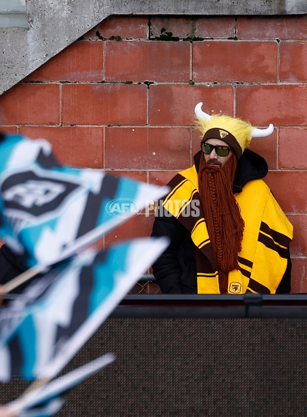 AFL 2025 Round 19 - Hawthorn v Port Adelaide - A-60629369
