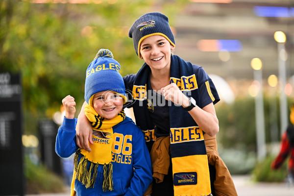 AFL 2025 Round 19 - West Coast v Richmond - A-60629384