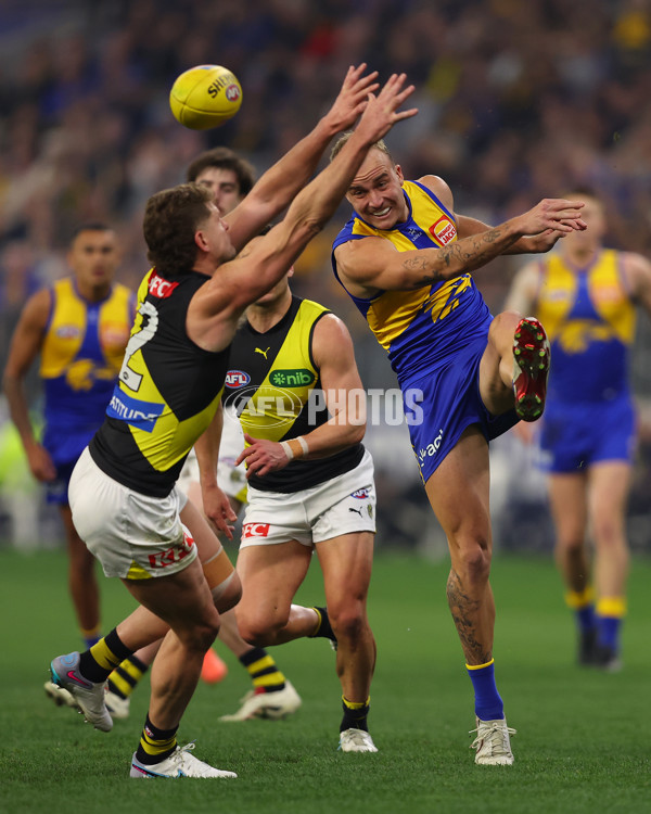 AFL 2025 Round 19 - West Coast v Richmond - A-60634884