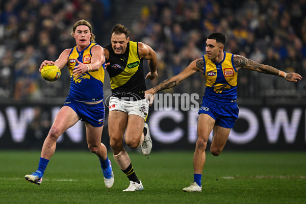 AFL 2025 Round 19 - West Coast v Richmond - A-60634896