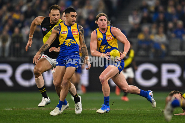 AFL 2025 Round 19 - West Coast v Richmond - A-60634898