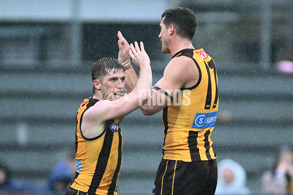 AFL 2025 Round 19 - Hawthorn v Port Adelaide - A-60637588
