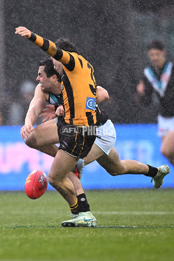 AFL 2025 Round 19 - Hawthorn v Port Adelaide - A-60637589