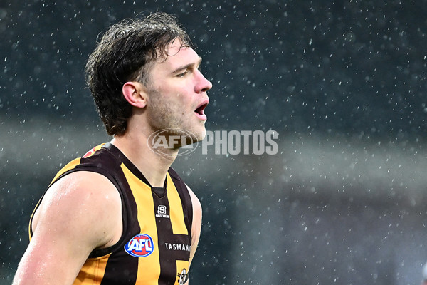 AFL 2025 Round 19 - Hawthorn v Port Adelaide - A-60637610