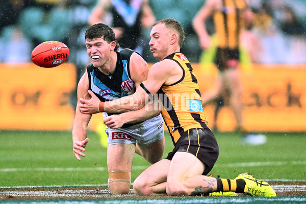 AFL 2025 Round 19 - Hawthorn v Port Adelaide - A-60637644