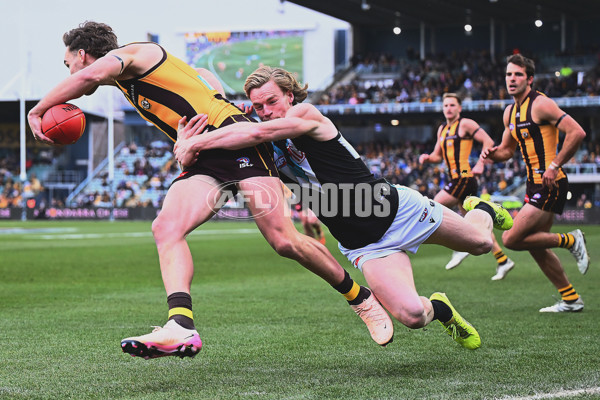 AFL 2025 Round 19 - Hawthorn v Port Adelaide - A-60637664