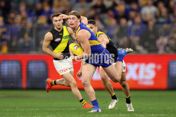 AFL 2025 Round 19 - West Coast v Richmond - A-60637665