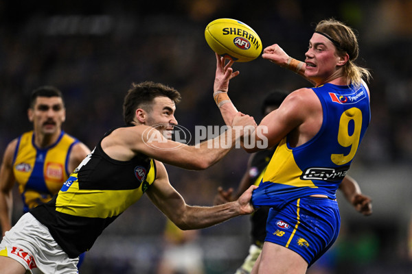 AFL 2025 Round 19 - West Coast v Richmond - A-60638498