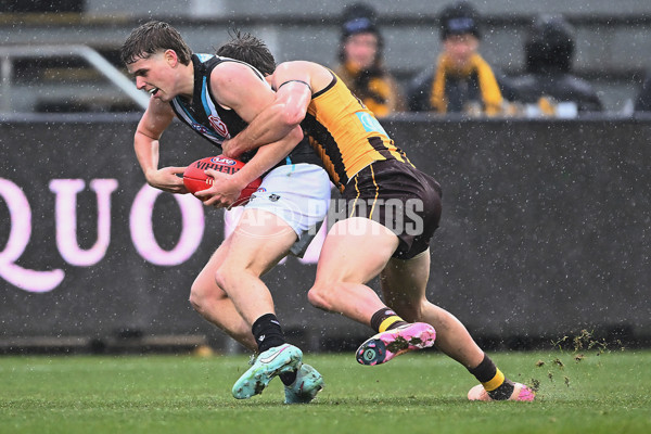 AFL 2025 Round 19 - Hawthorn v Port Adelaide - A-60638543