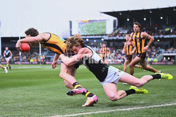 AFL 2025 Round 19 - Hawthorn v Port Adelaide - A-60638557