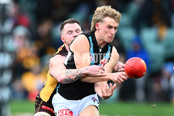 AFL 2025 Round 19 - Hawthorn v Port Adelaide - A-60638558