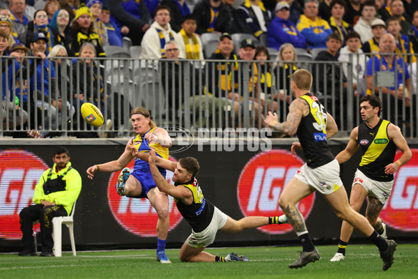 AFL 2025 Round 19 - West Coast v Richmond - A-60641268