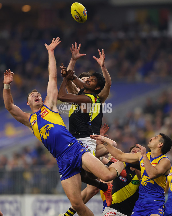 AFL 2025 Round 19 - West Coast v Richmond - A-60649505