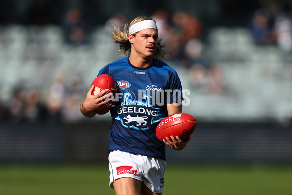 AFL 2025 Round 19 - Geelong v St Kilda - A-60649566