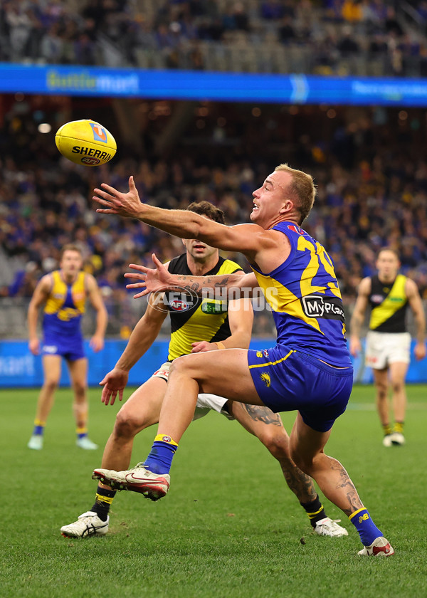 AFL 2025 Round 19 - West Coast v Richmond - A-60649695