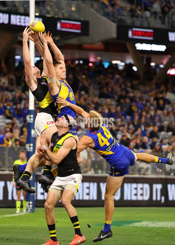 AFL 2025 Round 19 - West Coast v Richmond - A-60649699