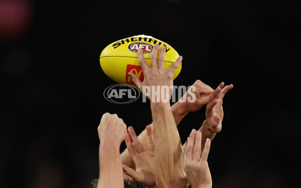 AFL 2025 Round 19 - Carlton v Melbourne - A-60649742