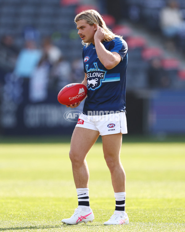 AFL 2025 Round 19 - Geelong v St Kilda - A-60649752