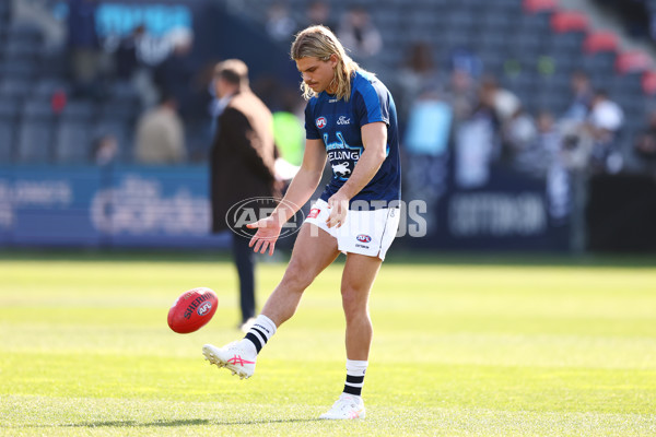 AFL 2025 Round 19 - Geelong v St Kilda - A-60649753