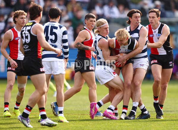 AFL 2025 Round 19 - Geelong v St Kilda - A-60652259