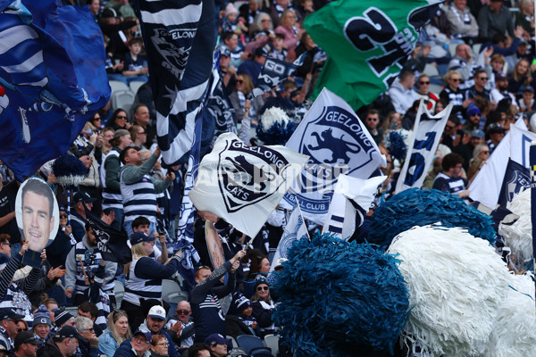 AFL 2025 Round 19 - Geelong v St Kilda - A-60652287