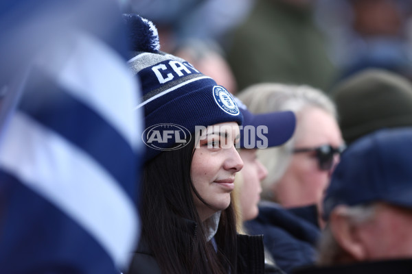 AFL 2025 Round 19 - Geelong v St Kilda - A-60652299