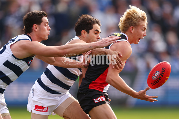 AFL 2025 Round 19 - Geelong v St Kilda - A-60652306