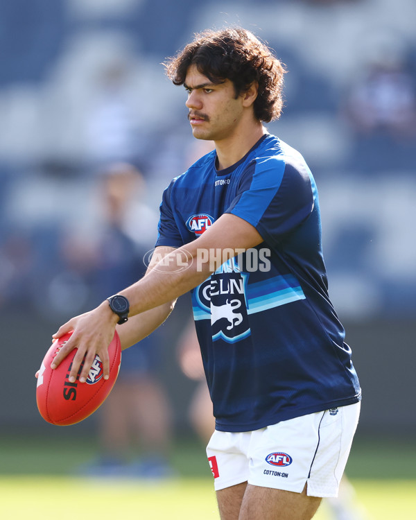 AFL 2025 Round 19 - Geelong v St Kilda - A-60652723