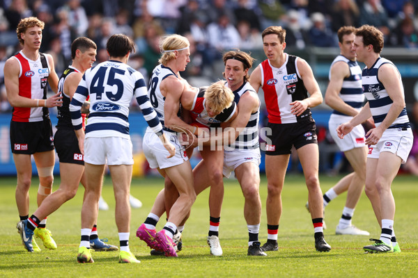AFL 2025 Round 19 - Geelong v St Kilda - A-60652746