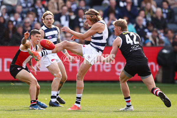 AFL 2025 Round 19 - Geelong v St Kilda - A-60652748