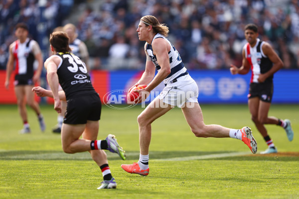 AFL 2025 Round 19 - Geelong v St Kilda - A-60652773