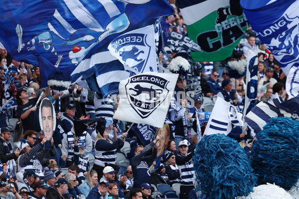 AFL 2025 Round 19 - Geelong v St Kilda - A-60652776