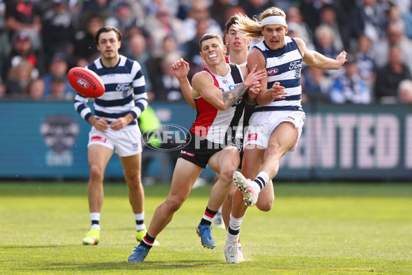 AFL 2025 Round 19 - Geelong v St Kilda - A-60652791