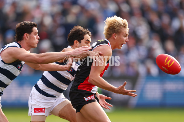 AFL 2025 Round 19 - Geelong v St Kilda - A-60652792