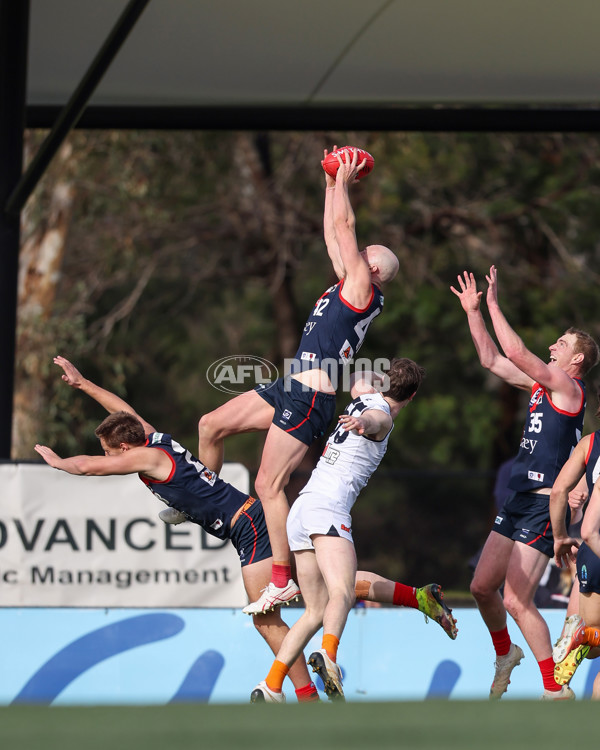 VFL 2025 Round 17 - Casey Demons v Carlton - A-60652805
