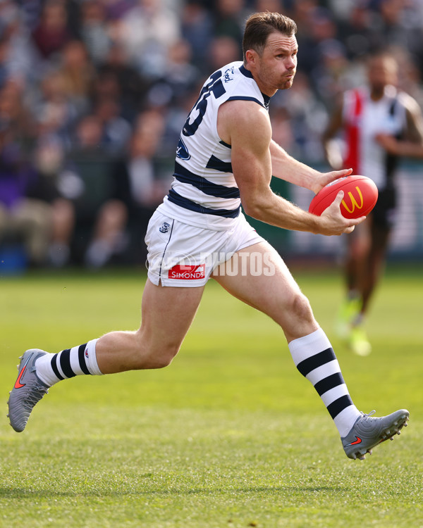 AFL 2025 Round 19 - Geelong v St Kilda - A-60655151